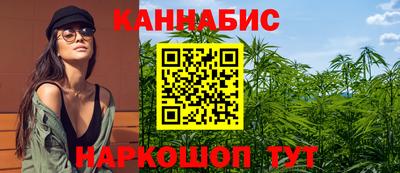 стаф Будённовск