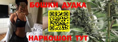 стаф Будённовск