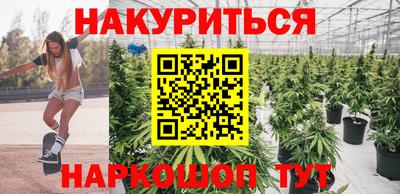 стаф Будённовск
