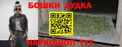стаф Будённовск