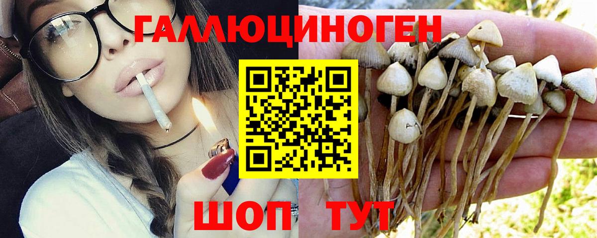 Галлюциногенные грибы Magic Shrooms  Вход с VPN  как найти закладки  Снежинск  Галлюциногенные грибы мухоморы 